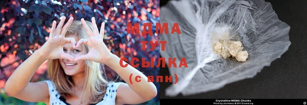 стаф Инта
