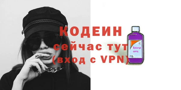 стаф Инта