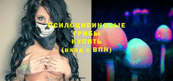 стаф Инта