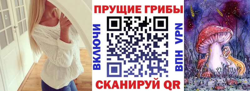 Галлюциногенные грибы мухоморы  закладка  Кашин 